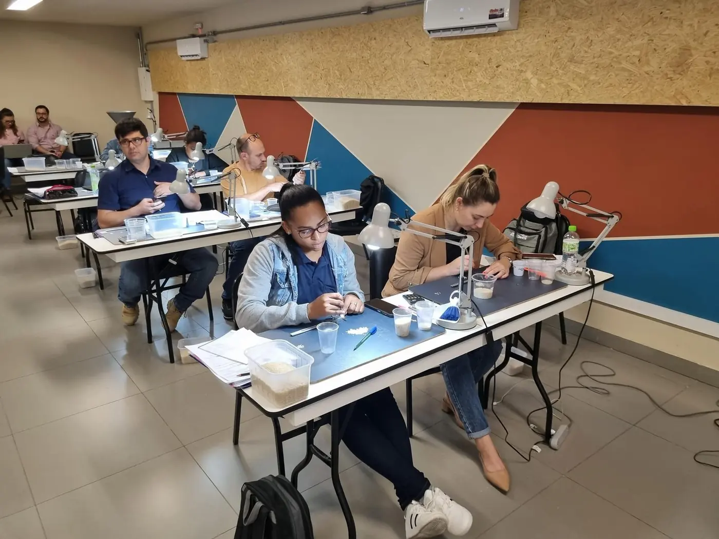 Participantes de uma capacitação da Grano Safe analisam amostras de arroz em bancadas individuais sob luminárias.